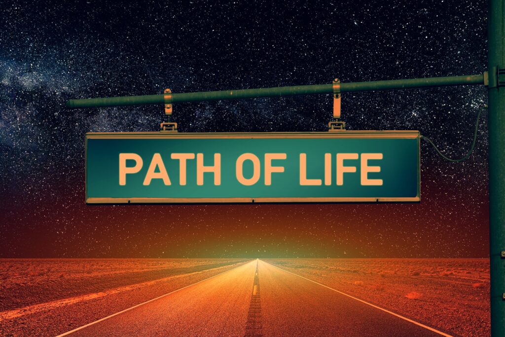 Life Path Life Purpose What S Yours Doctor Chantal   Life Path Sign 1024x683 